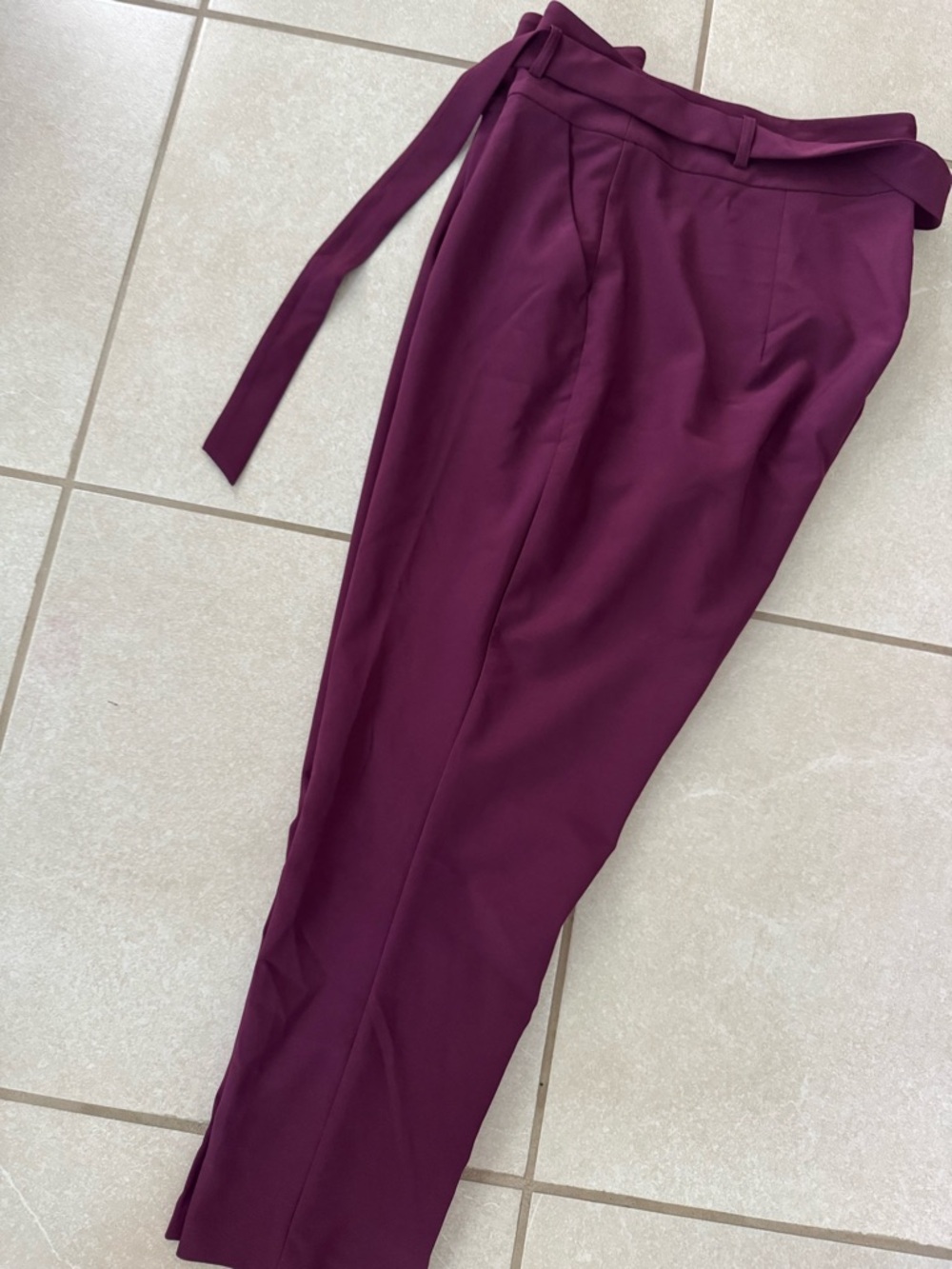 torrid / Size 16 / women’s dress pants